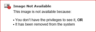 How do I set up my public website?